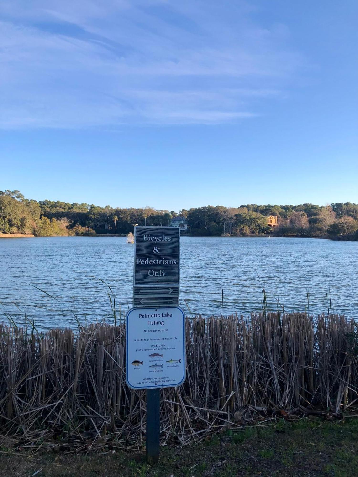 הוילה סיברוק איילנד 2065 Salt Marsh מראה חיצוני תמונה